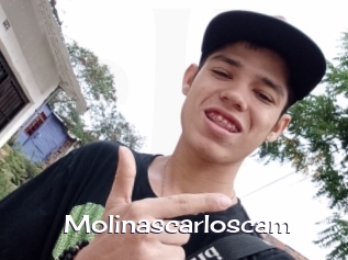 Molinascarloscam