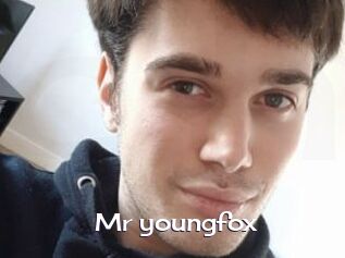 Mr_youngfox