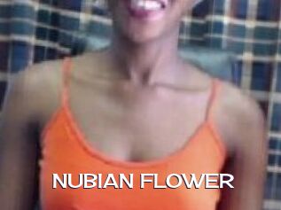 _NUBIAN_FLOWER_
