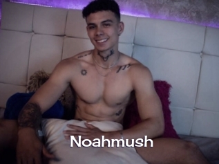 noahmush Click here to exit