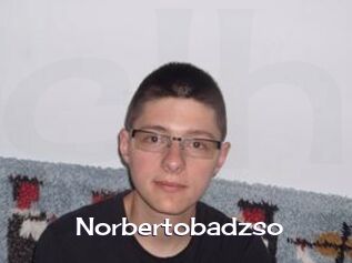 Norbertobadzso