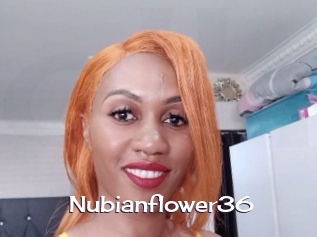 nubianflower36 Click here to exit