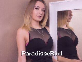 ParadisseBird