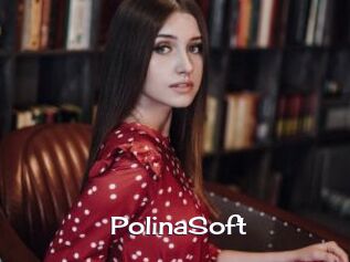PolinaSoft