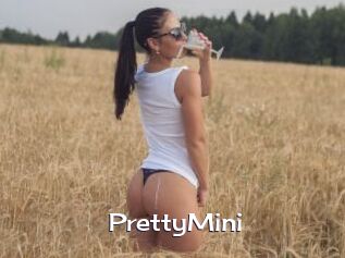 PrettyMini