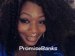 PromiseBanks Click here to exit