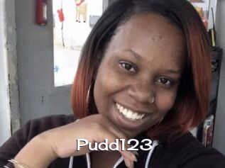 Pudd123