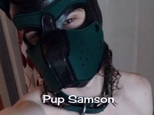 Pup_Samson