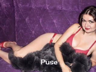 Puse