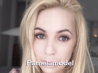 Pamelamodel