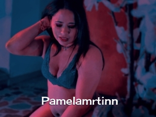 Pamelamrtinn