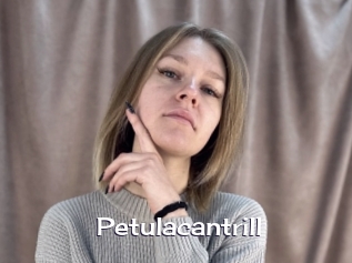 petulacantrill Click here to exit