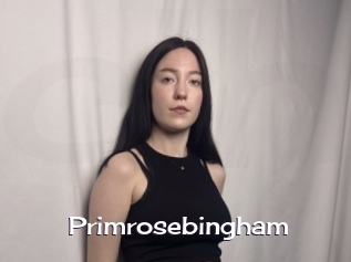 primrosebingham Click here to exit