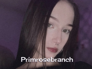 Primrosebranch