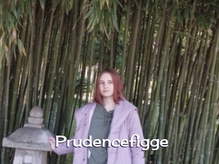 Prudencefigge