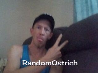 RandomOstrich