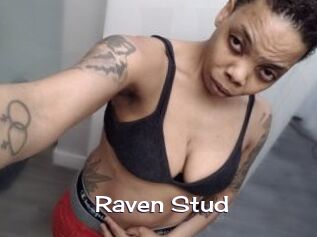 Raven_Stud