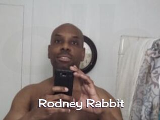 Rodney_Rabbit