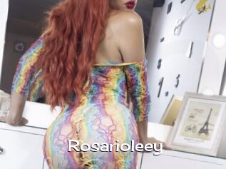Rosarioleey