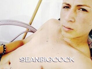 SEAN_BIG_COCK Click here to exit