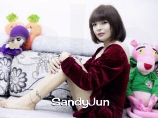 SandyJun Click here to exit