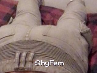 ShyFem
