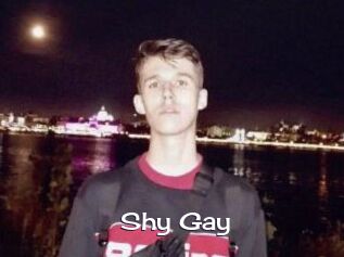 Shy_Gay