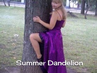 Summer_Dandelion