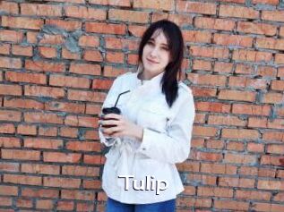 Tulip