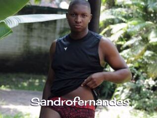 Sandrofernandes