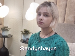 Sandyshayes