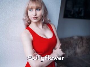 Sollyflower