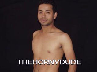 THEHORNYDUDE