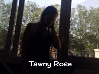 Tawny_Rose