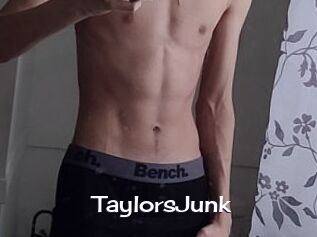 TaylorsJunk
