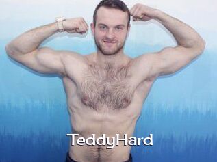TeddyHard