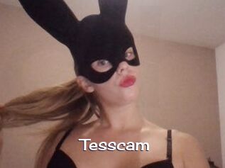 Tesscam