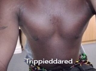 Trippieddared
