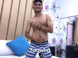Taowhu