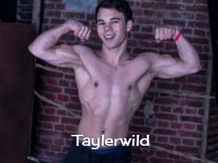 Taylerwild