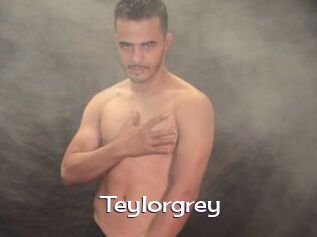 Teylorgrey