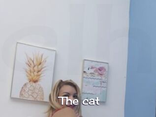 The_cat
