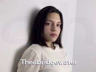 Theabridgewater