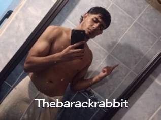 Thebarackrabbit