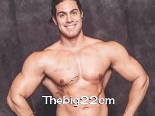 Thebig22cm