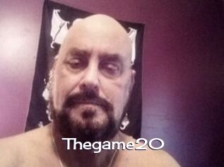 Thegame20