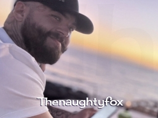 Thenaughtyfox