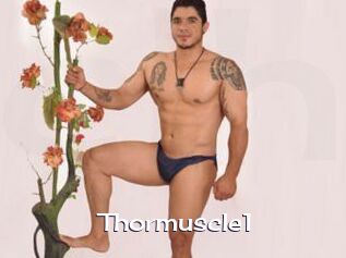 Thormuscle1