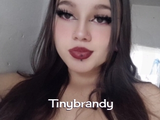 Tinybrandy