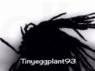 Tinyeggplant93